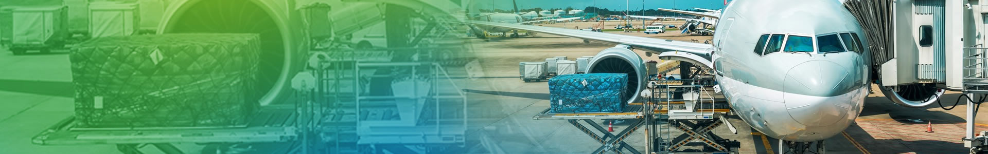 Dreamline Cargo Services L.L.C